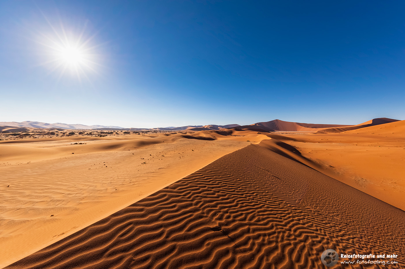 Dünen in der Namib im Gegenlicht