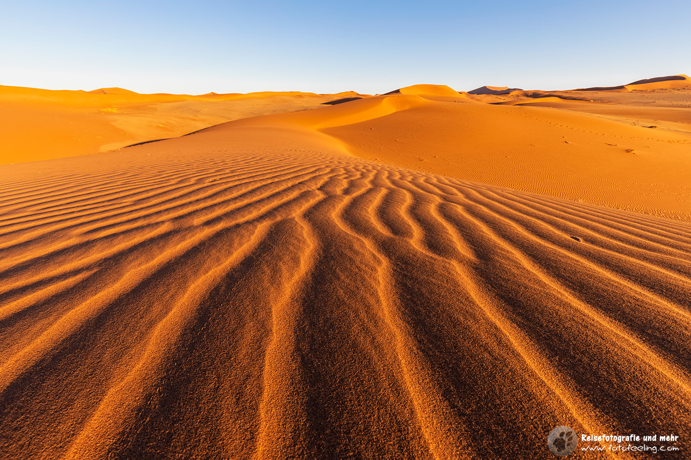 Dünen in der Namib im Abendlicht