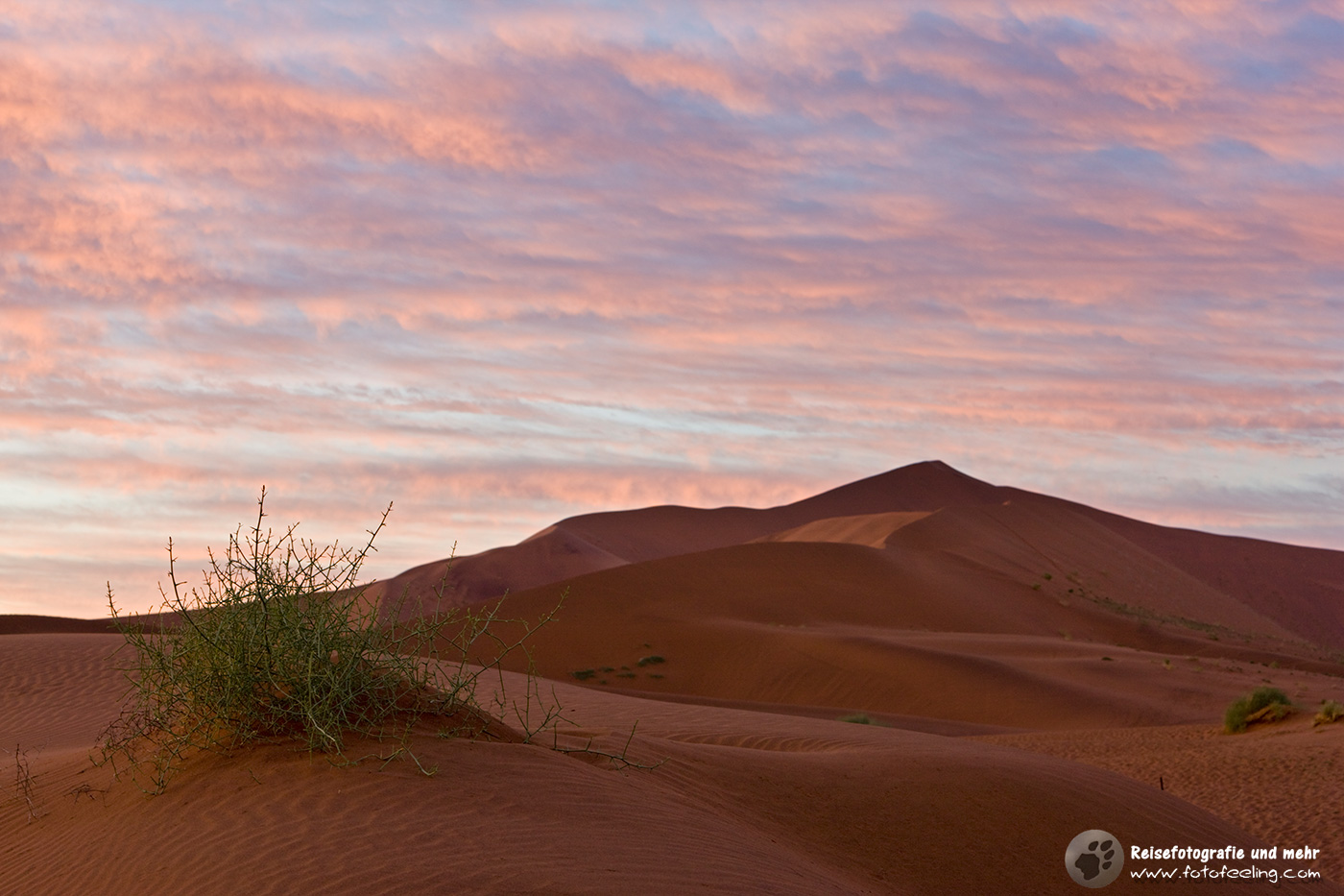 Sanddüne vor Sonnenaufgang, Namib Wüste, Namibia, Afrika