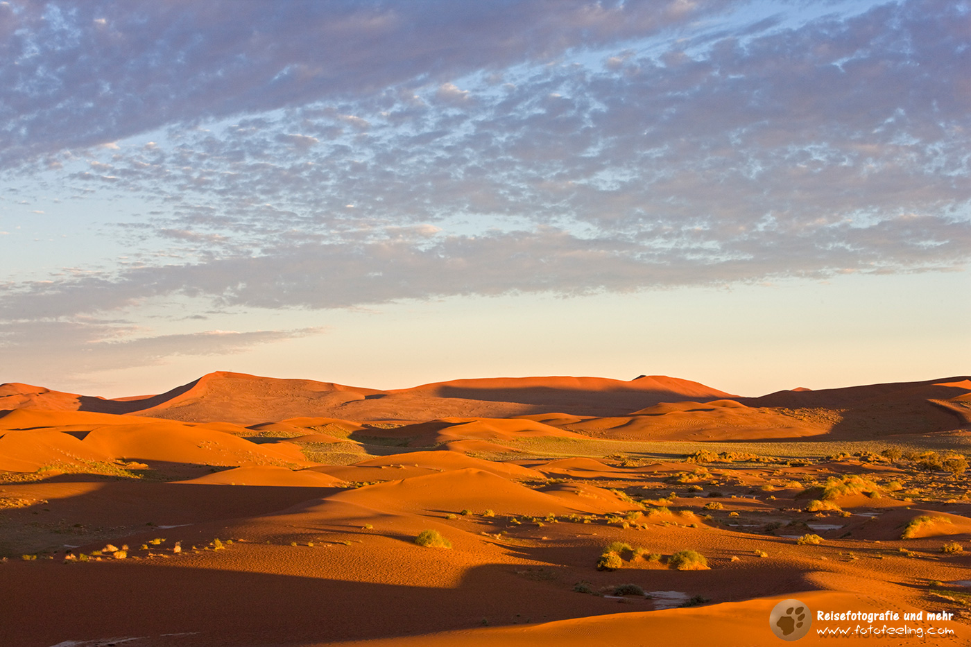 Dünenlandschaft im Sossusvlei, Namib Wüste, Namibia, Afrika