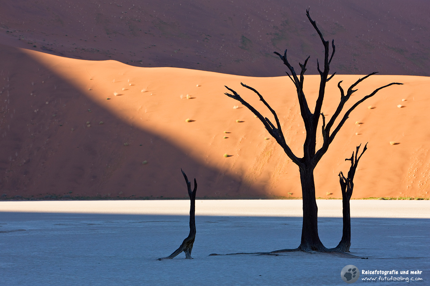 Abgestorbene Bäume im Dead Vlei
