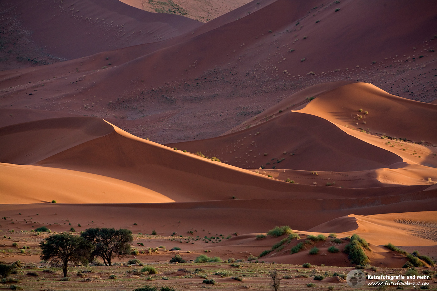 Dünenlandschaft im Sossusvlei, Namib Wüste, Namibia, Afrika