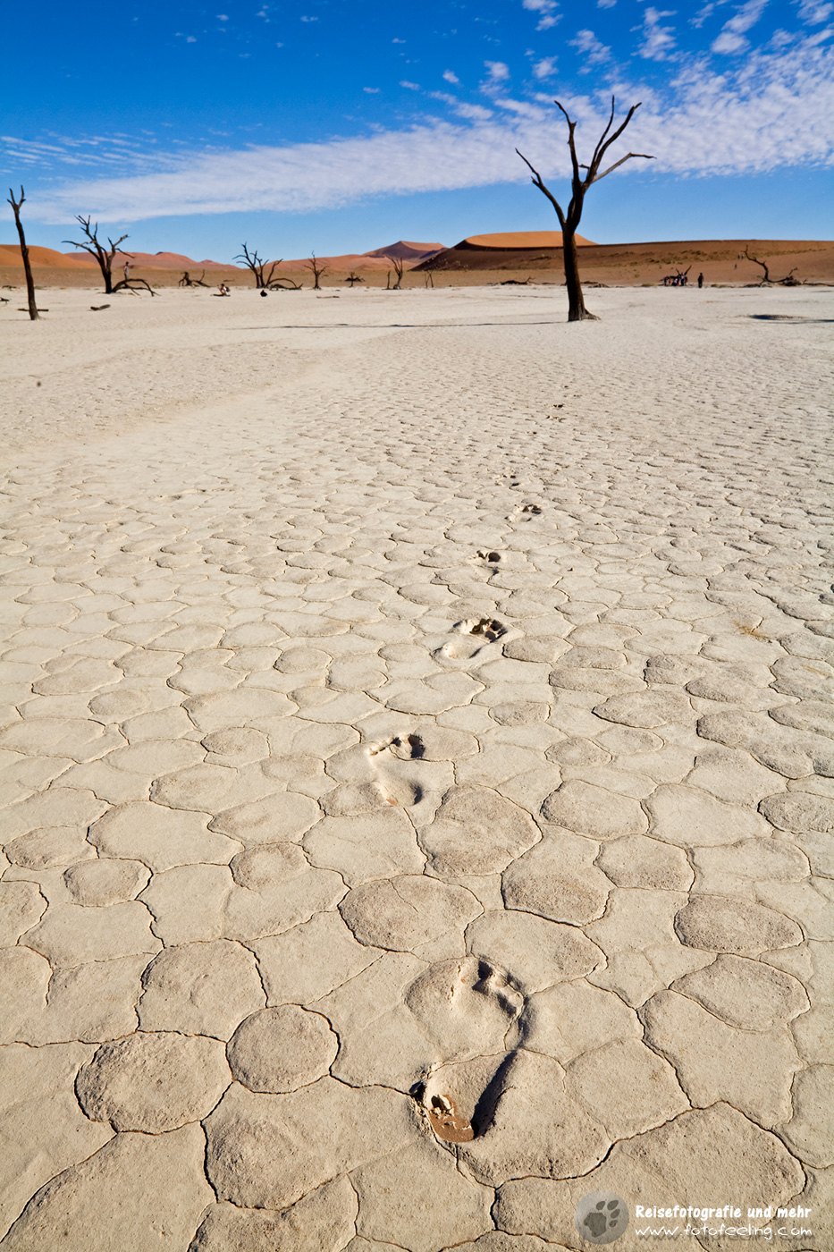 Fußspuren im Deadvlei, Namib Wüste, Namibia, Afrika