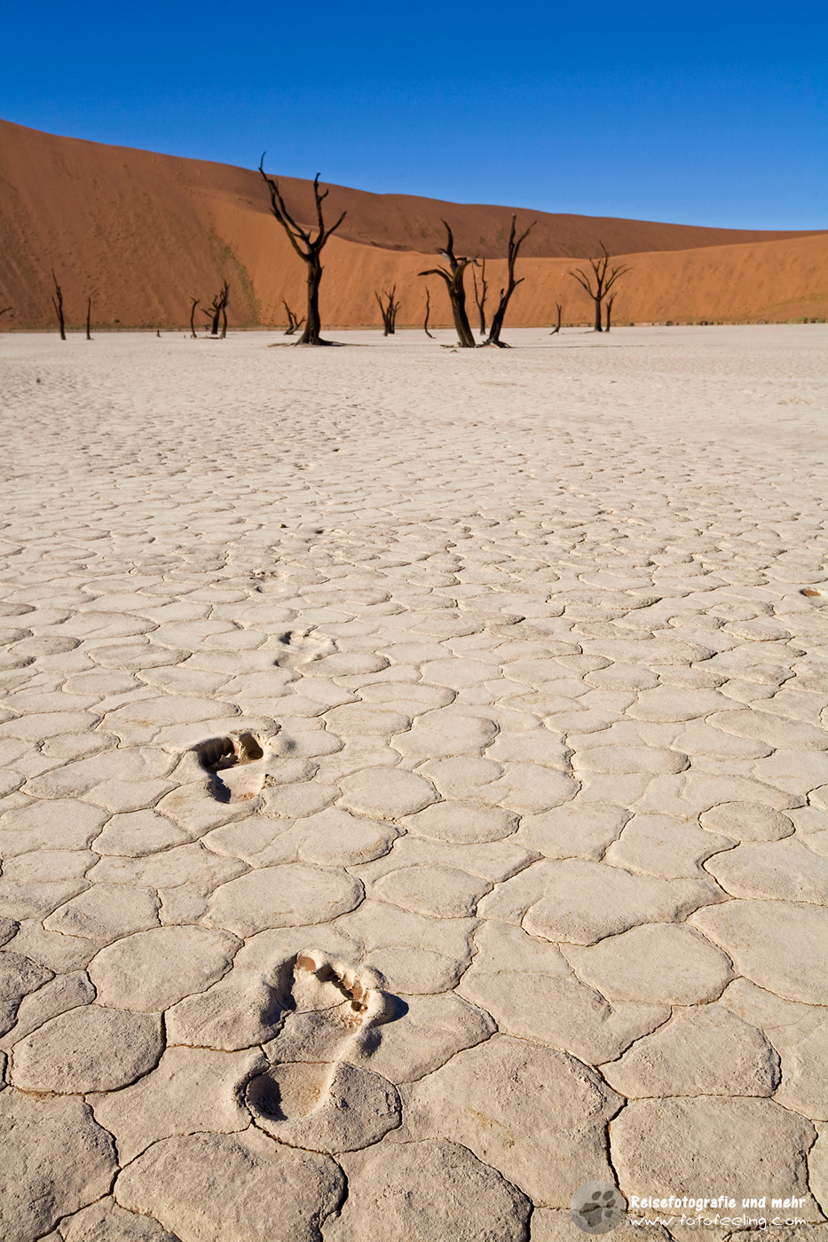 Fußspuren im Deadvlei, Namib Wüste, Namibia, Afrika