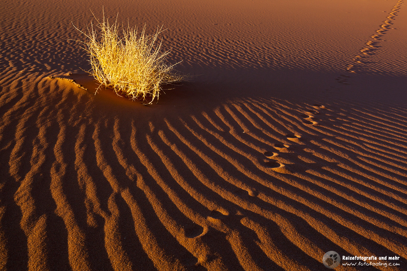 Spuren im Sand