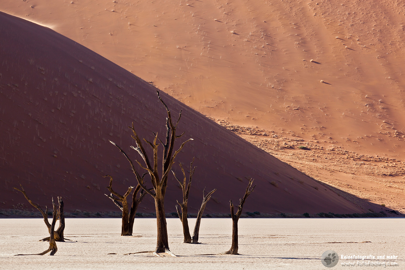 Abgestorbene Akazienbäume auf  ausgetrockneter Ton Pfanne