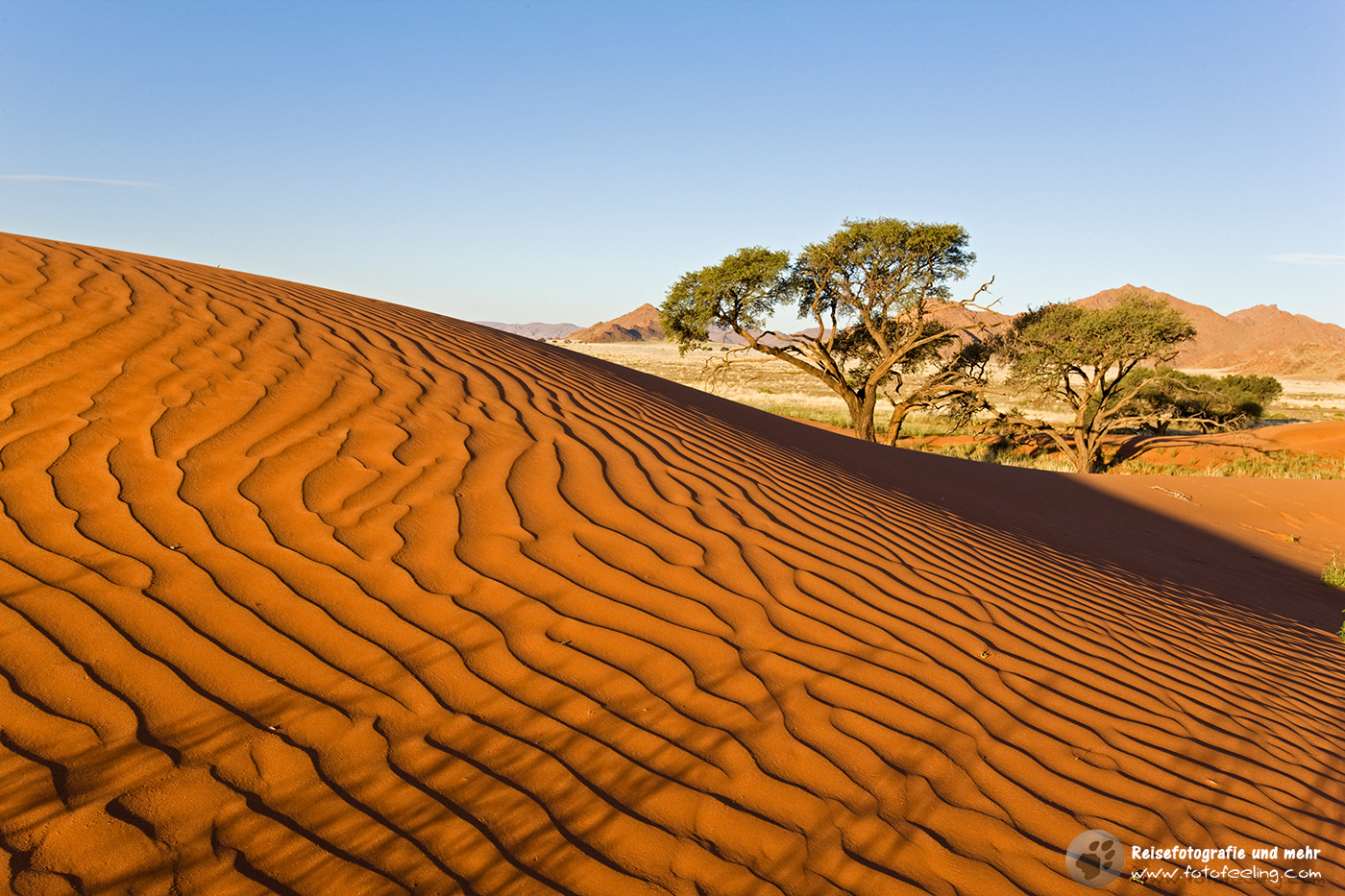 Sanddüne in der Namib Wüste, Tirasberge, Namibia, Afrika