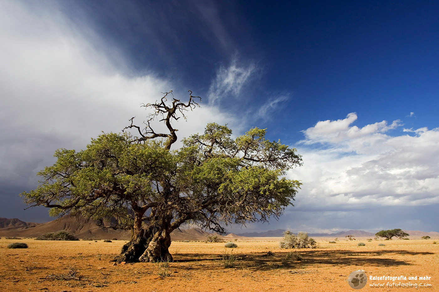 Landschaft der Tirasberge