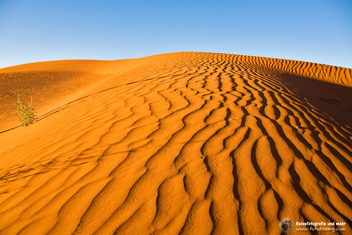 Sanddüne am Namibrand