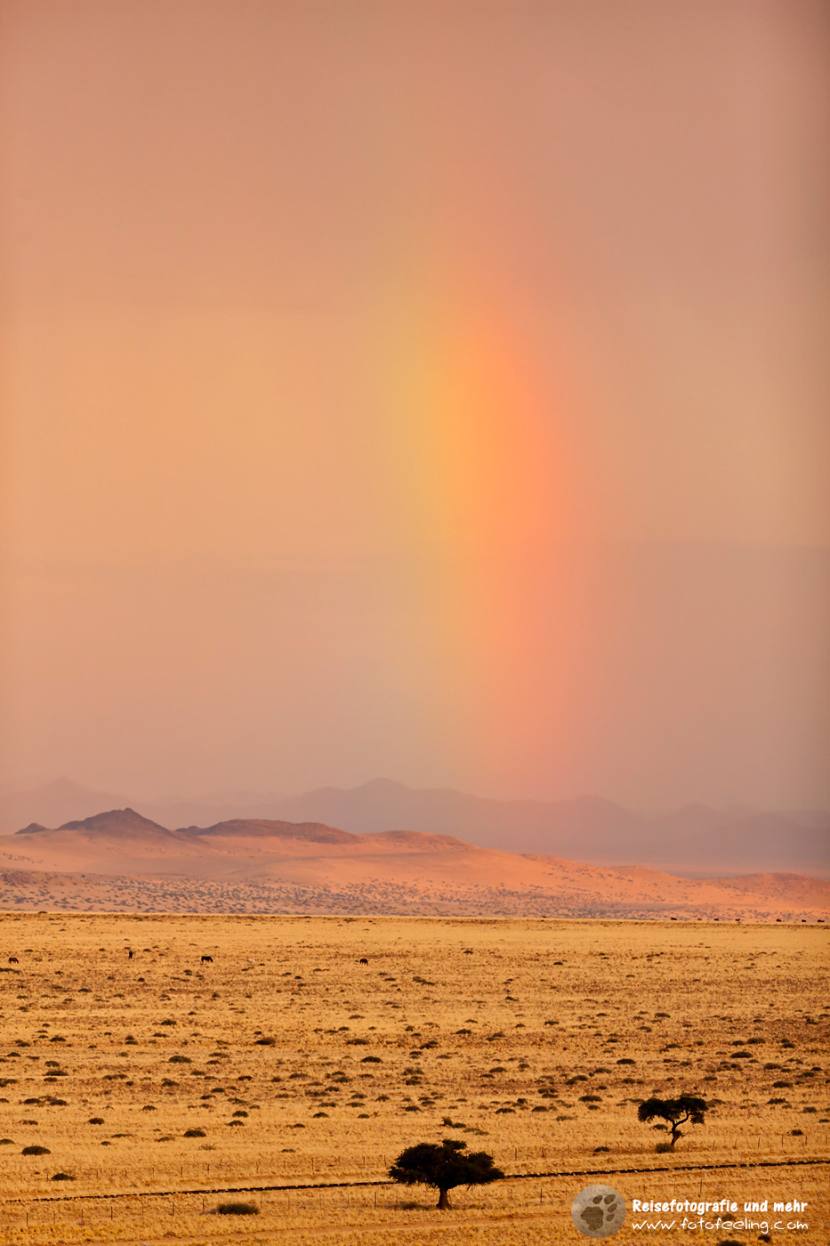 Regenstimmung über der Wüste