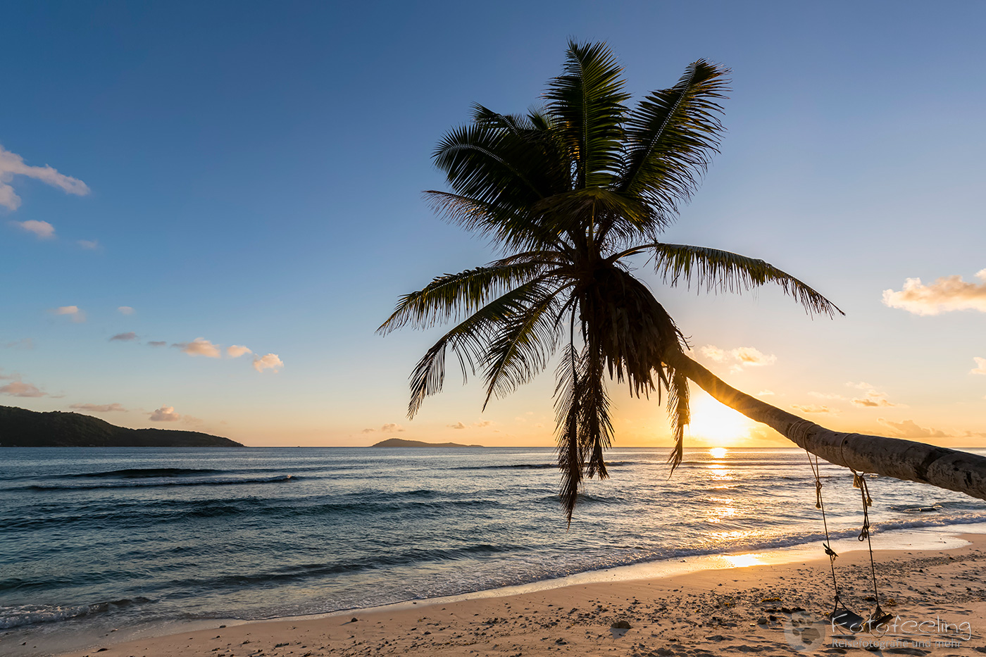 Schaukelpalme am Strand, das macht Spaß