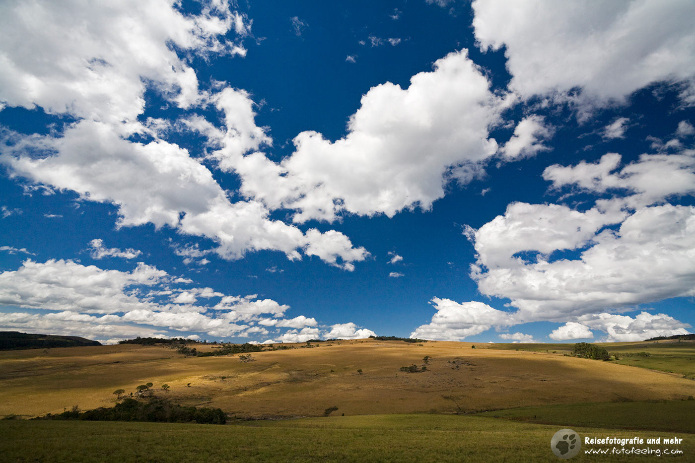 Landschaft bei den Mac Mac Pools, Nähe Blyde River Canyon, Pano