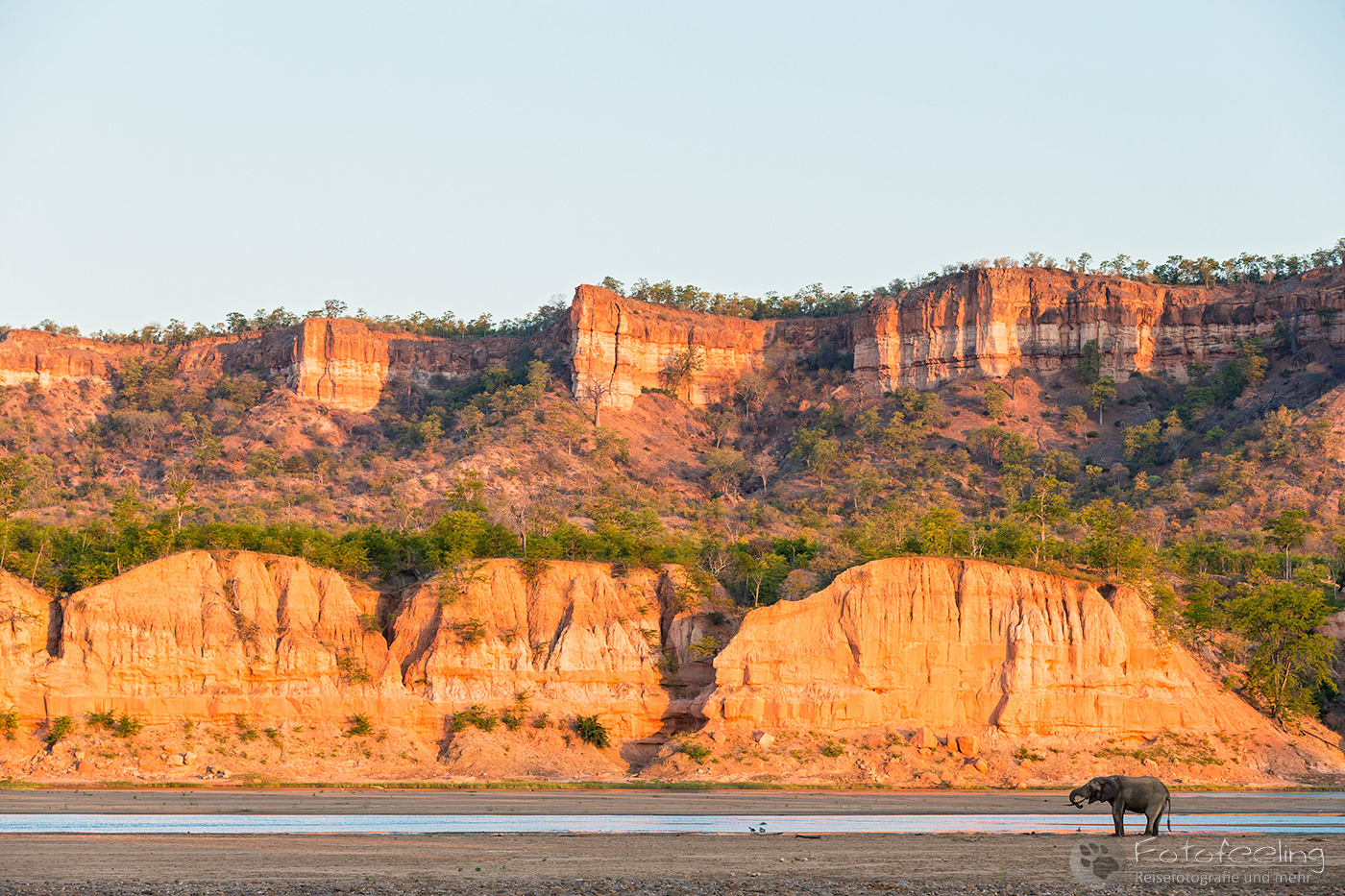 Runde River und Chilojo Cliffs, Afrikanischer Elefant (Loxodonta africana), en: African Elephant