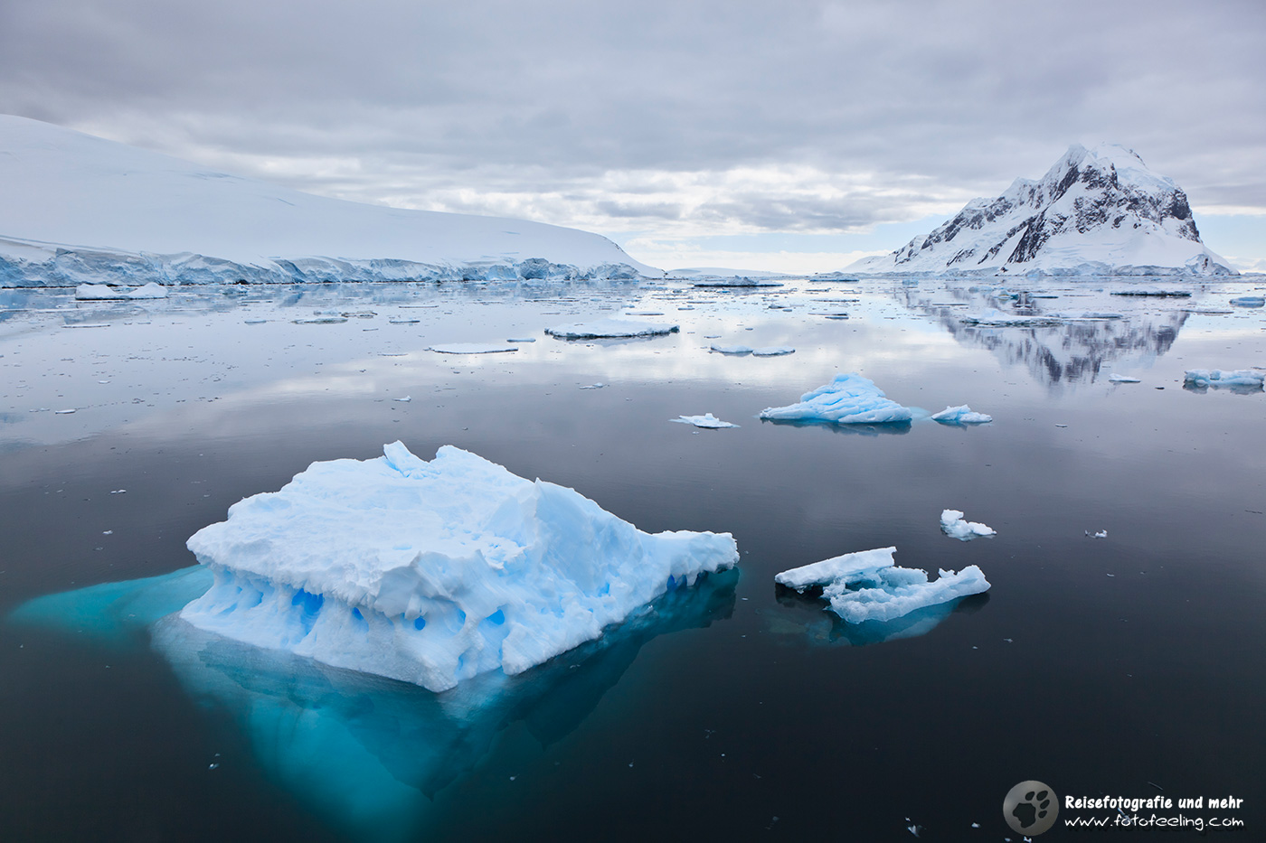 Cooler Eisberg