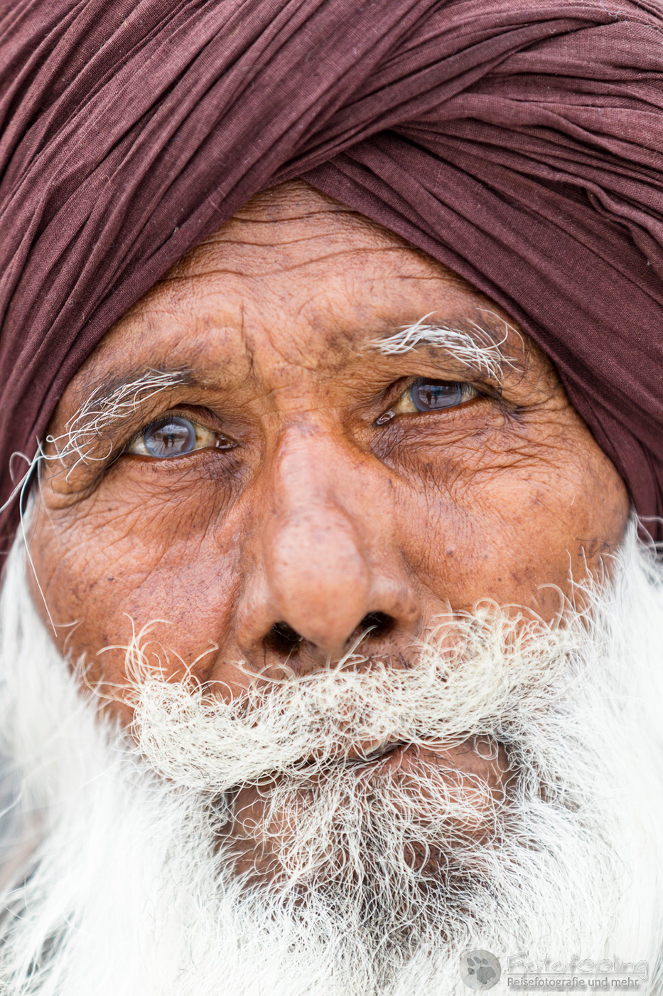 Portrait eines älteren Sikh Anhängers