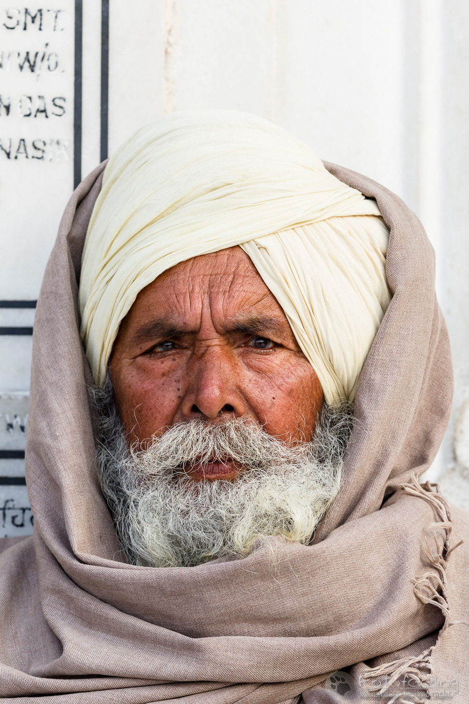 Portrait eines älteren Sikh Anhängers