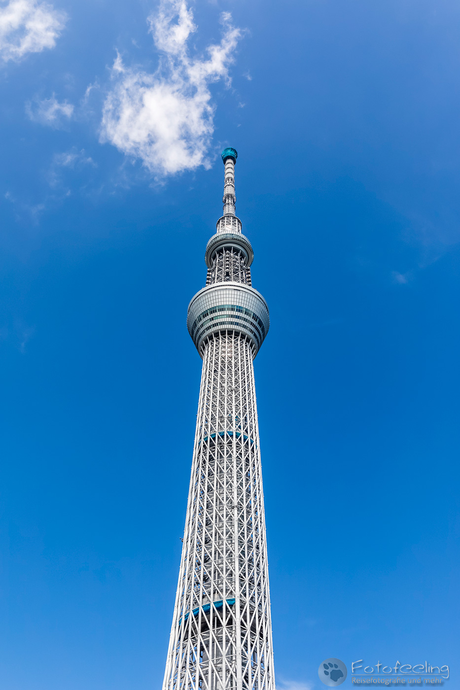 Skytree