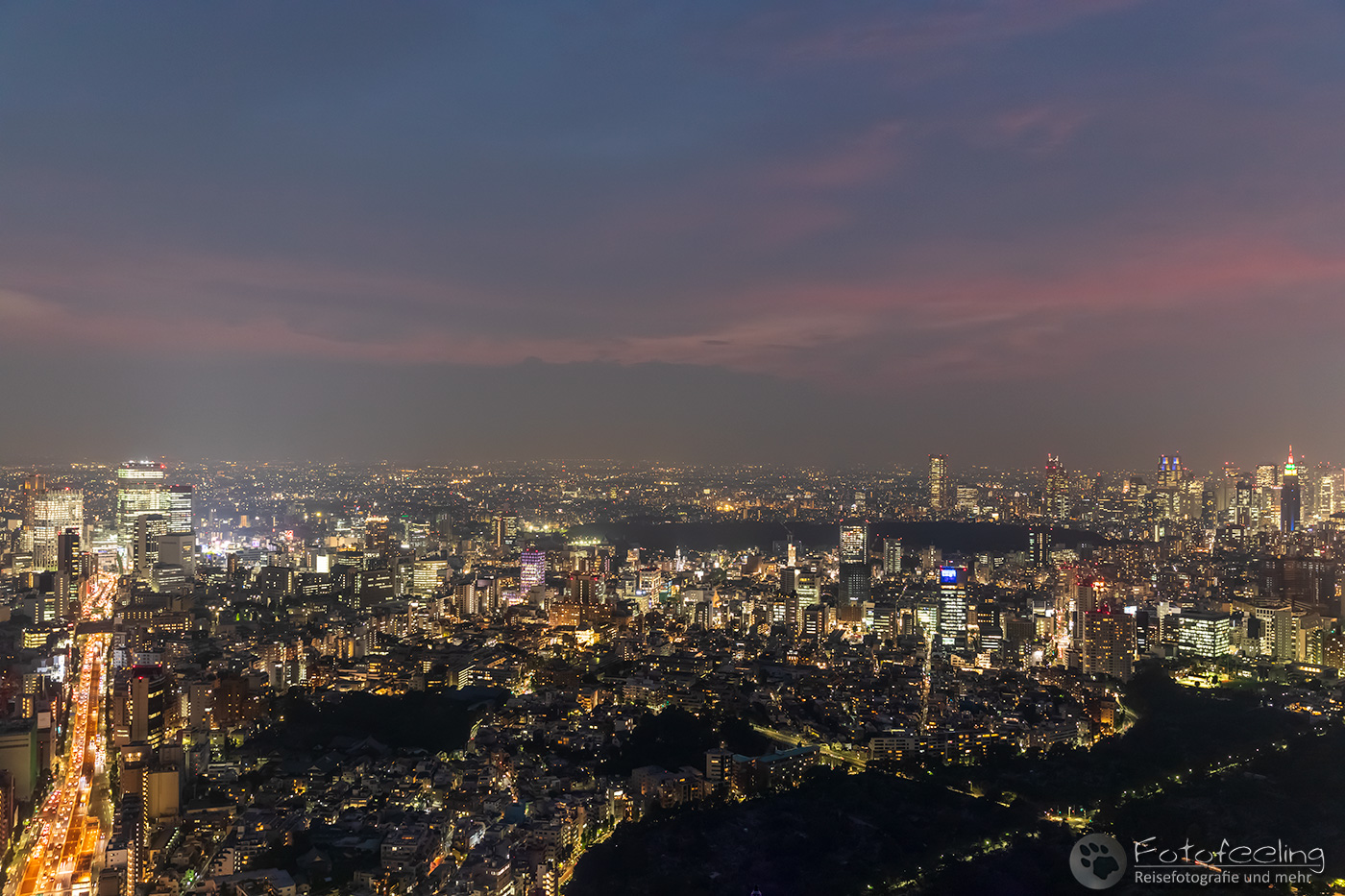 Aussicht vom Mori Tower auf Tokyo
