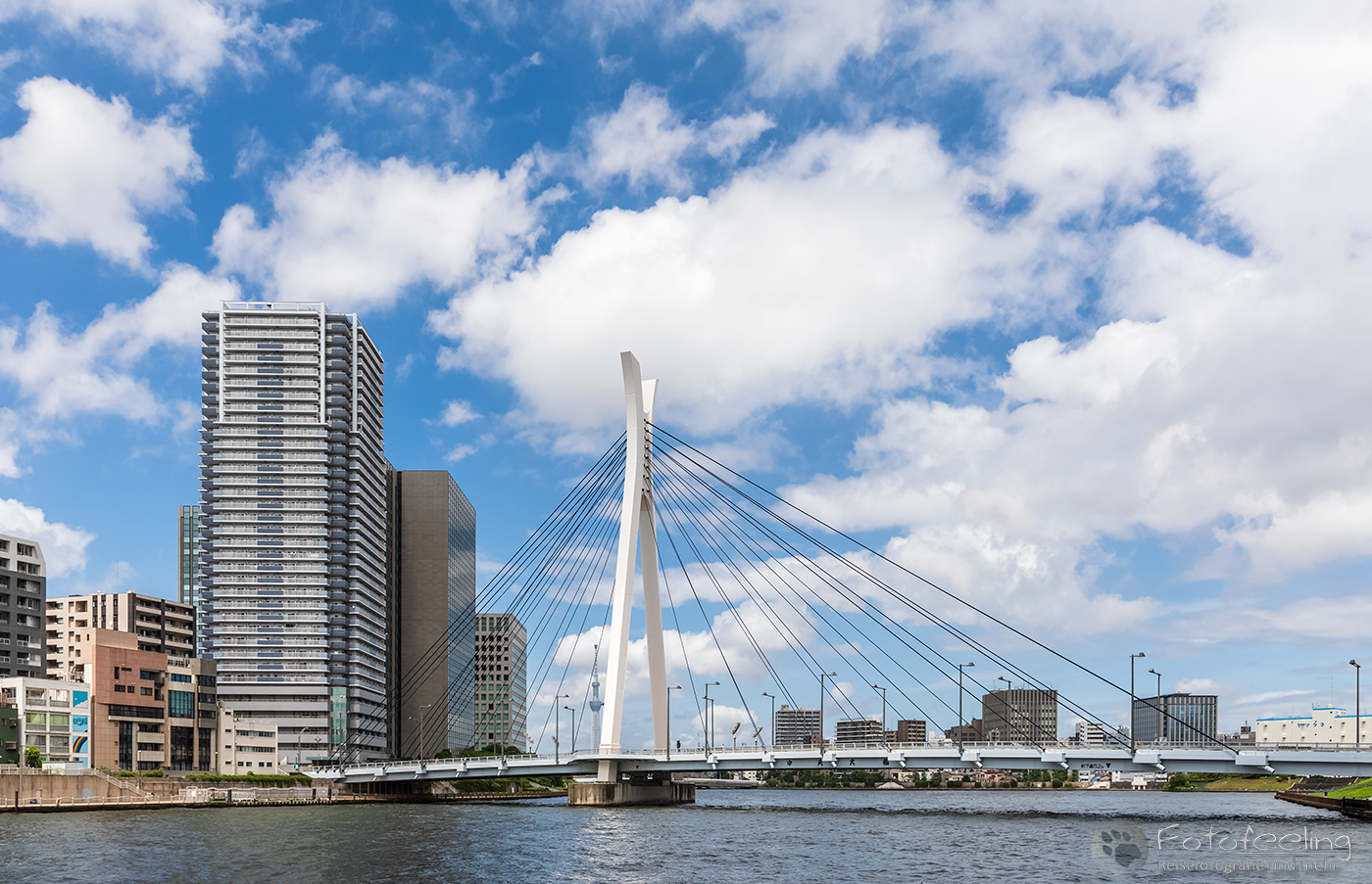 Bootsfahrt auf dem Sumida River, Skytree und Chūo Ohashi Bridge