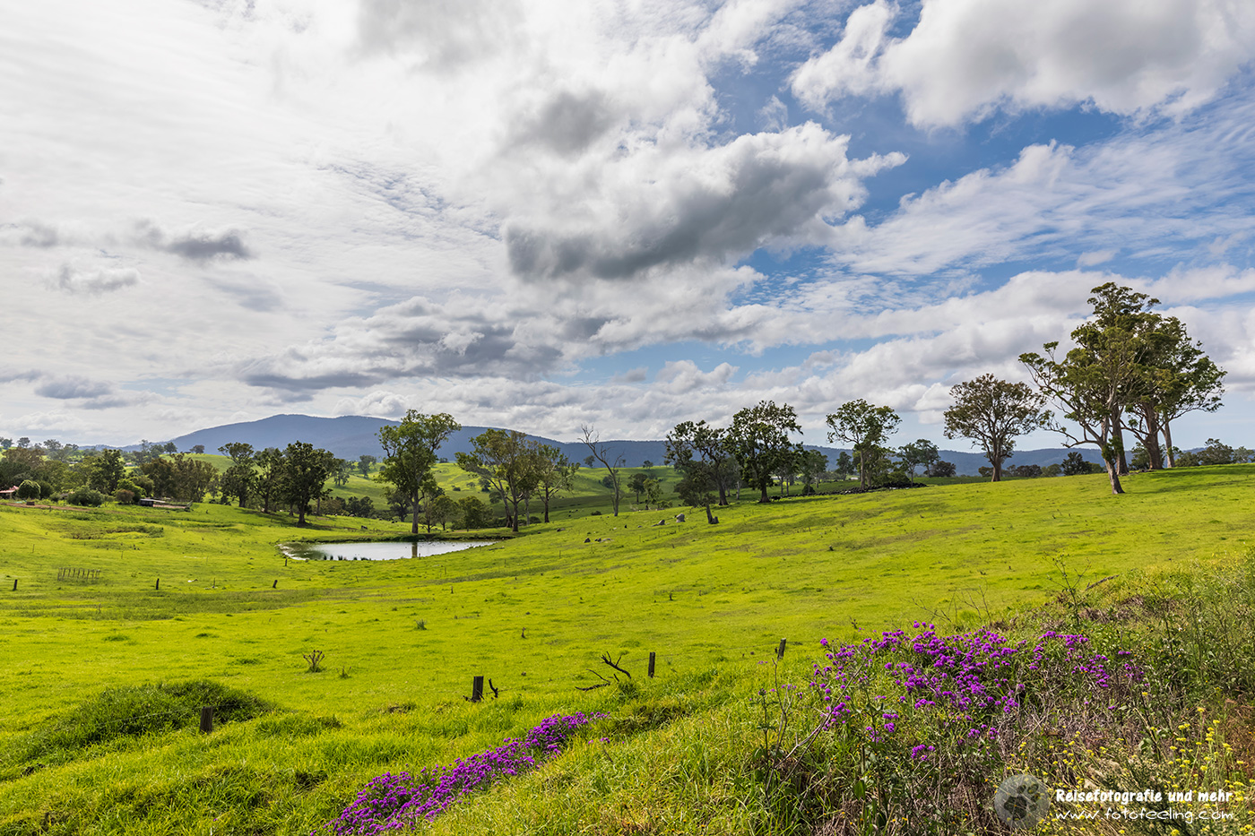 Landschaft am Princes Highway