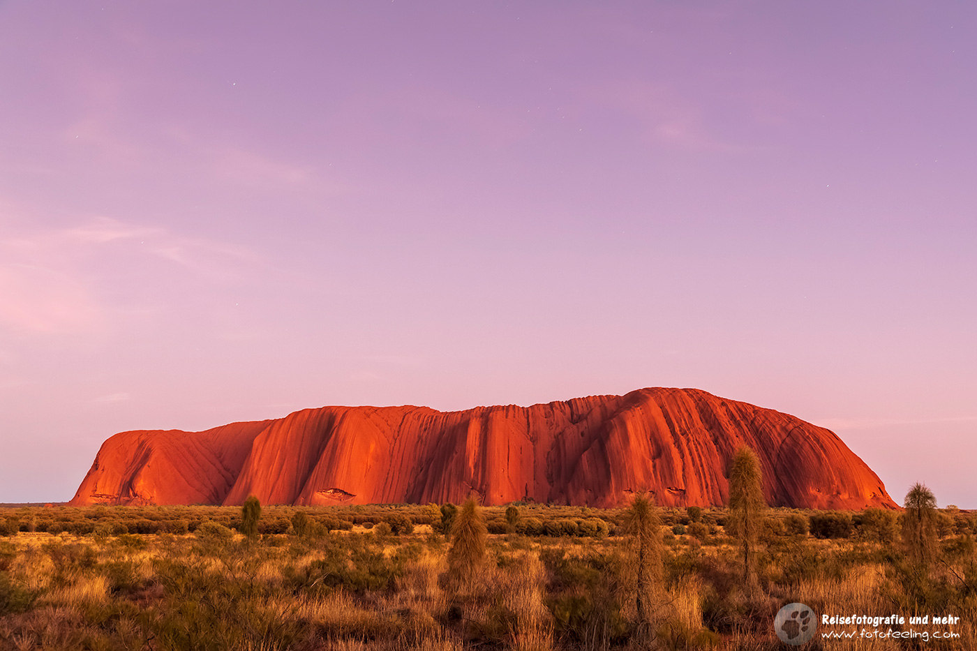 Uluru / Ayers Rock in der Morgendämmerung