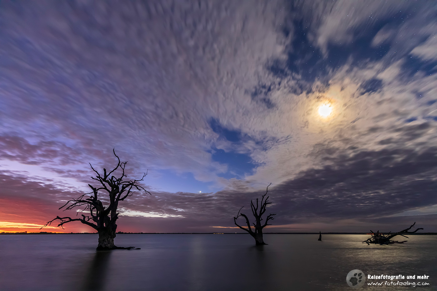 Tote Bäume im Lake Bonney mit Vollmond
