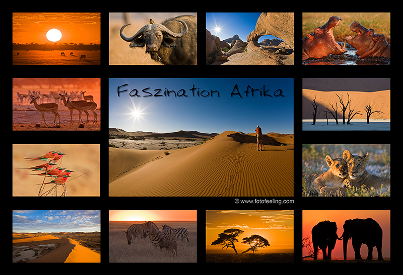 Faszination Afrika