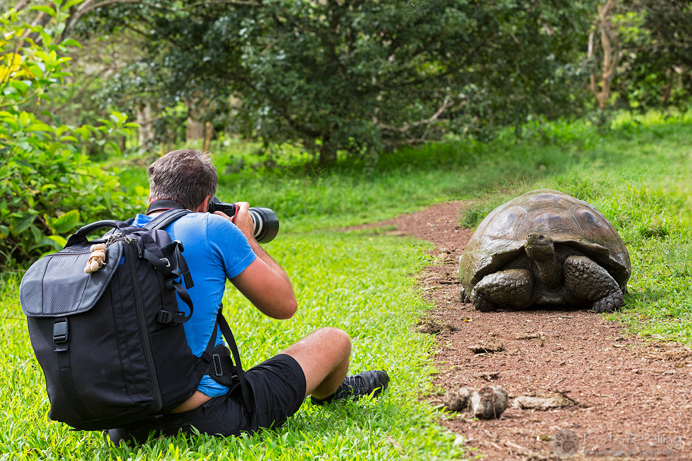 Chris fotografiert eine Galápagos-Riesenschildkröte