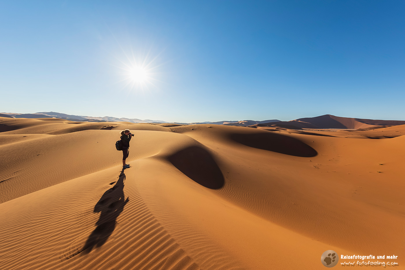 Dünen in der Namib im Gegenlicht