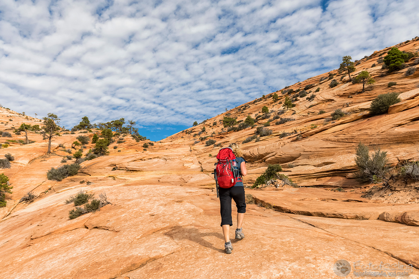 Wanderung zu den White Domes und Water Canyon