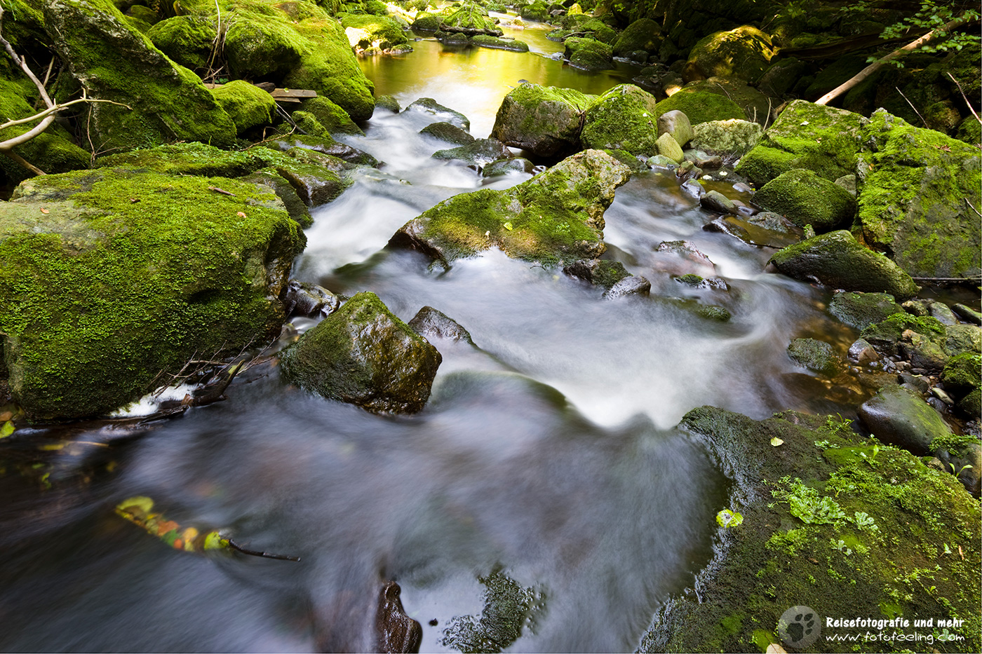 Unterwegs an der Buchberger Leite