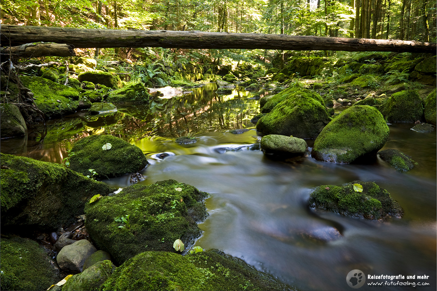 Unterwegs an der Buchberger Leite