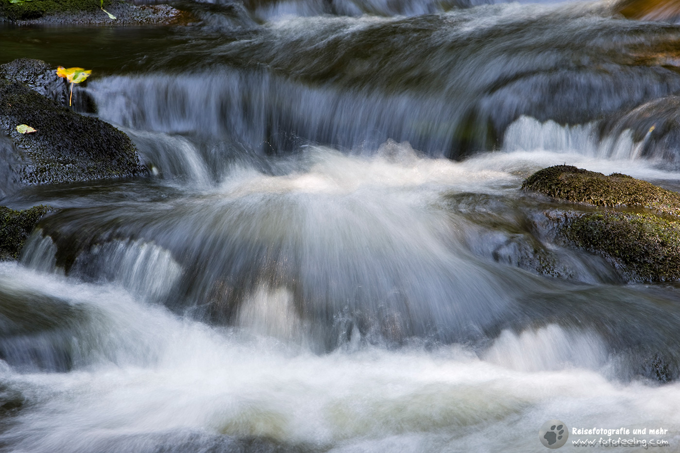 Unterwegs an der Buchberger Leite
