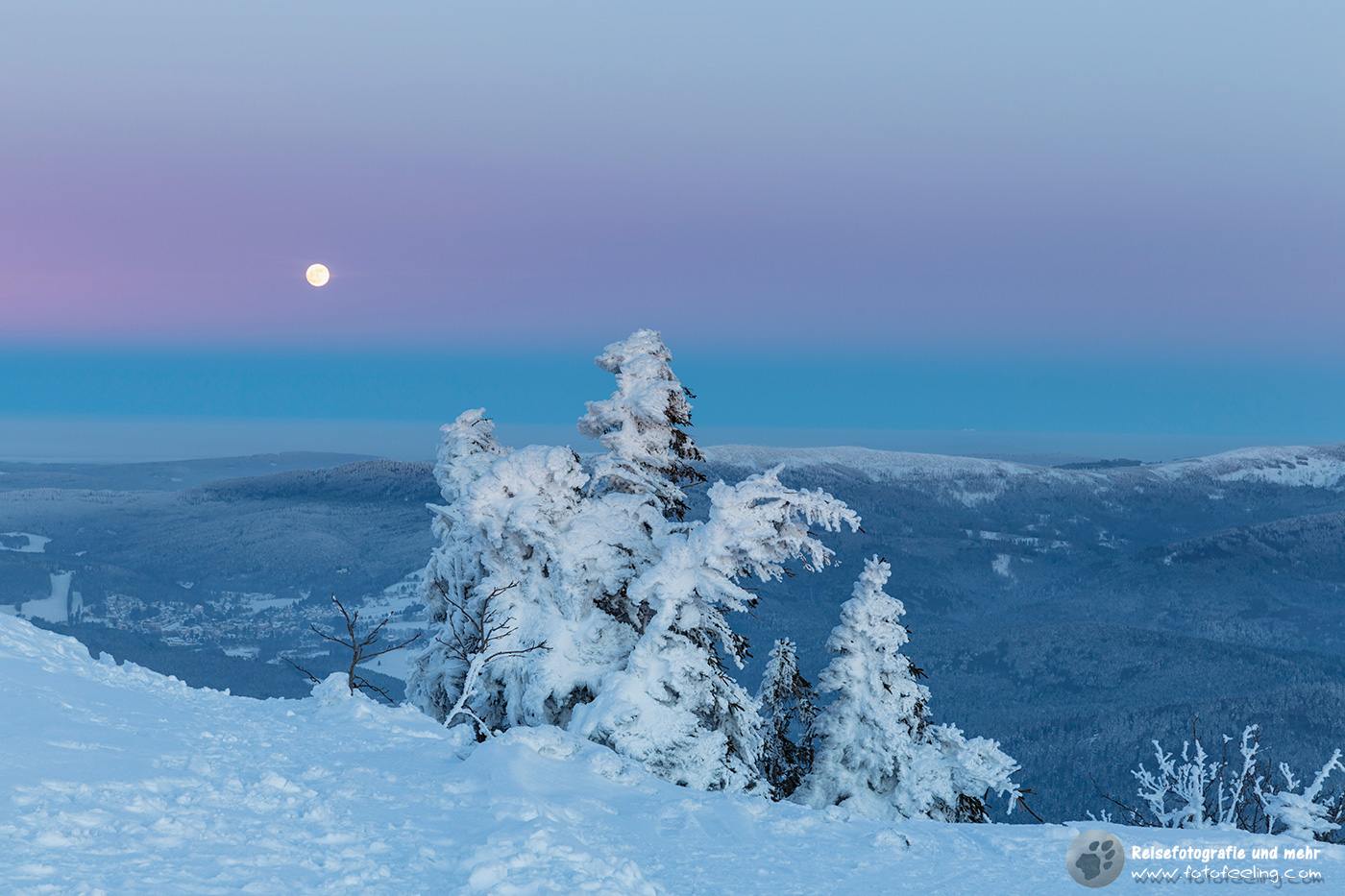 Arbermandl -  verschneite Latschen und Bergfichten