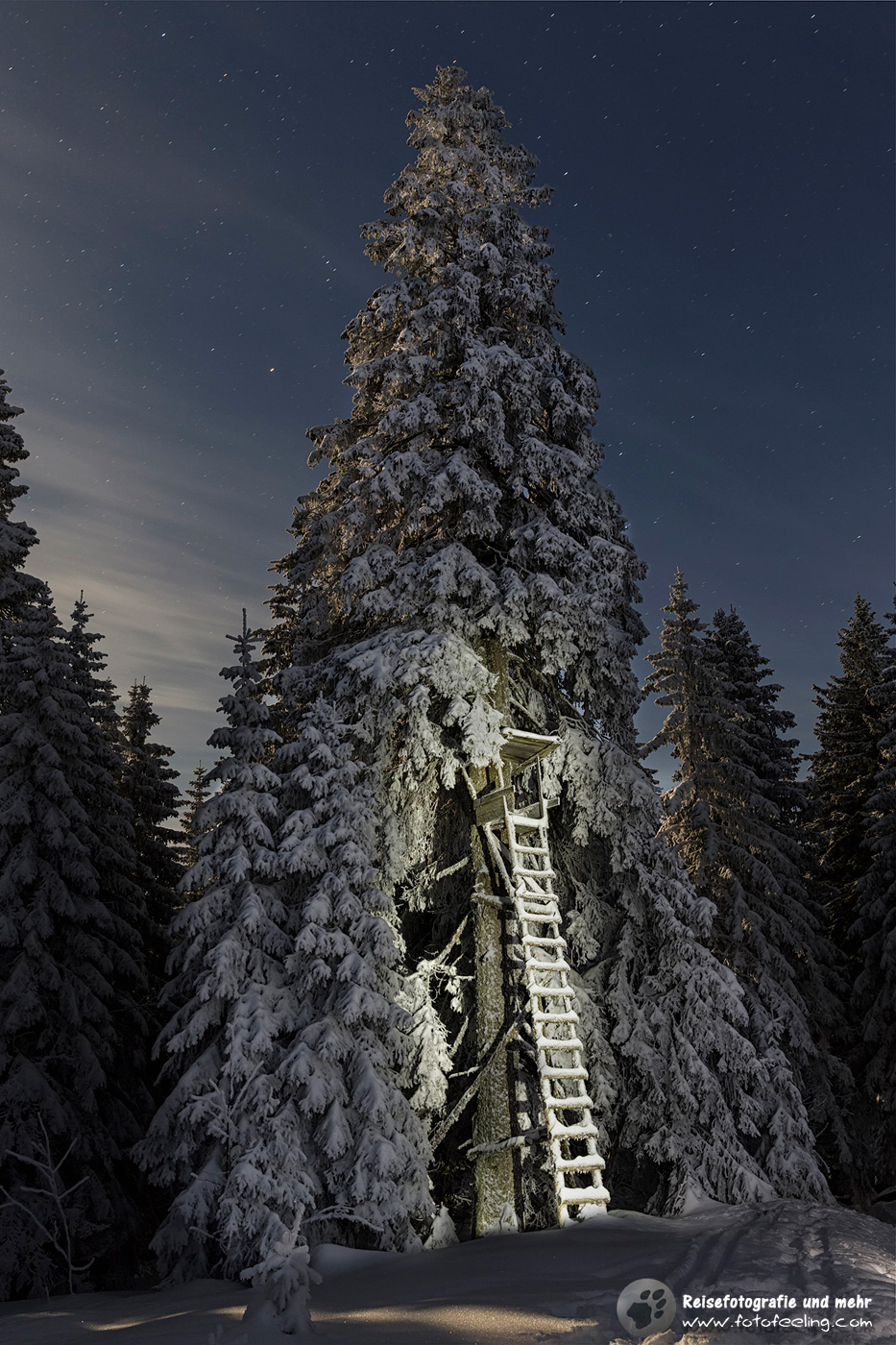 Jägerstand bei Vollmond