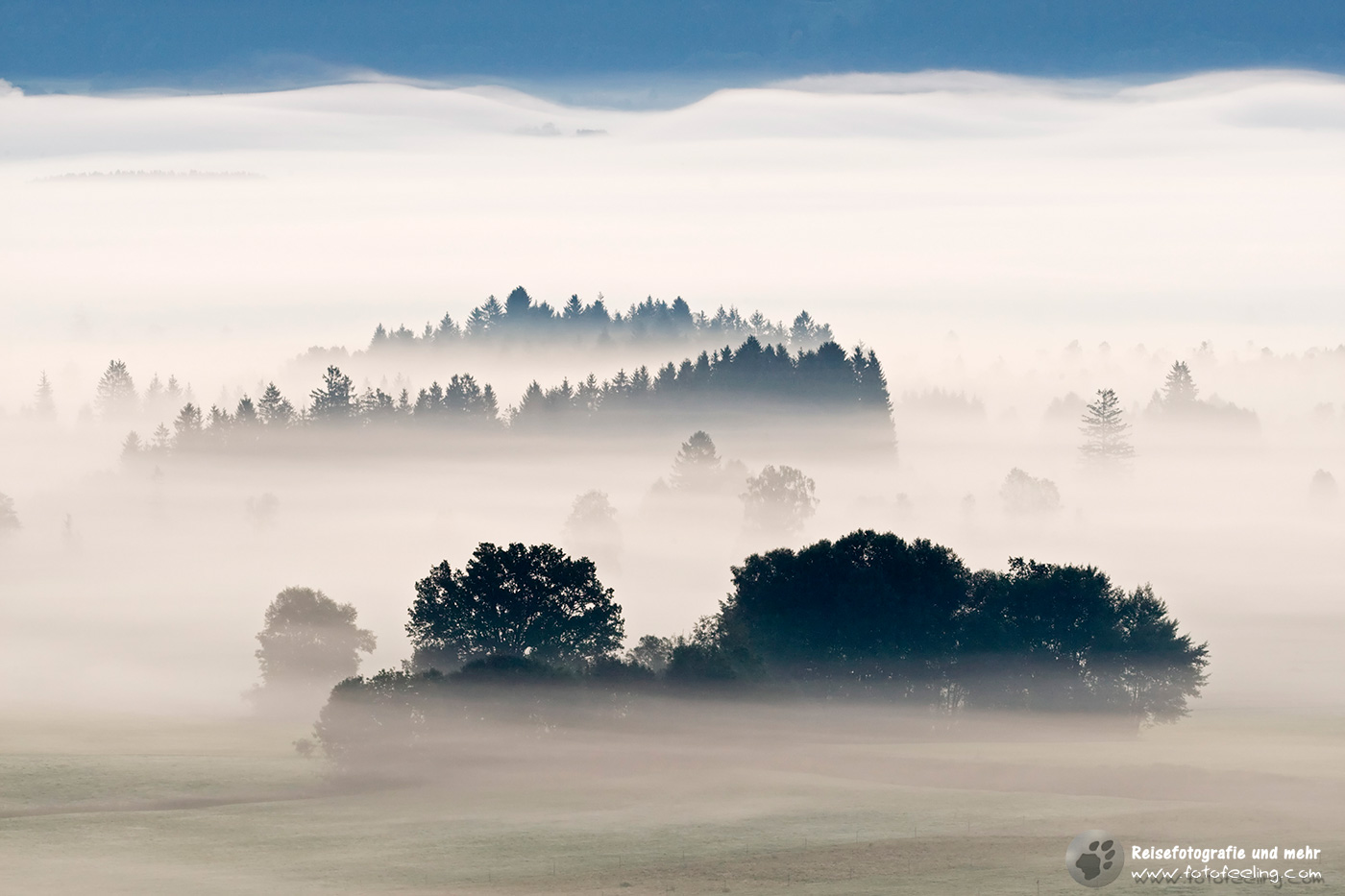Nebliger Morgen im Murnauer Moos