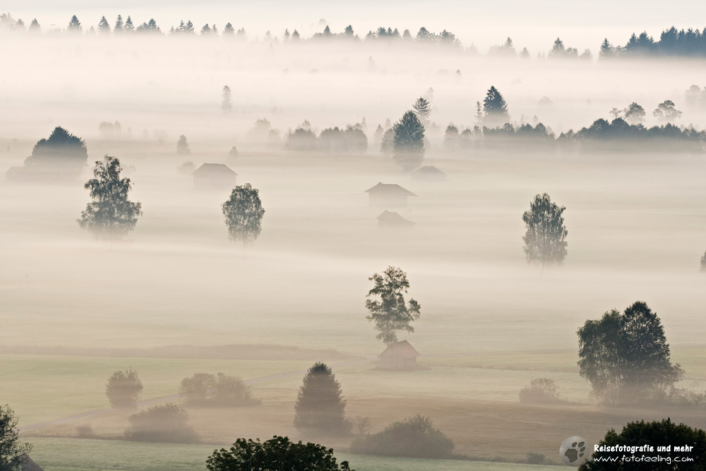 Nebliger Morgen im Murnauer Moos