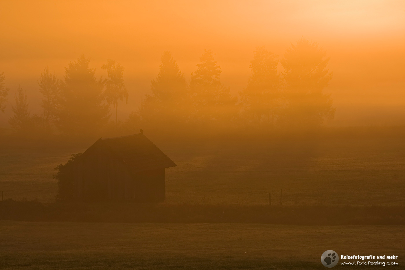 Nebliger Morgen im Murnauer Moos