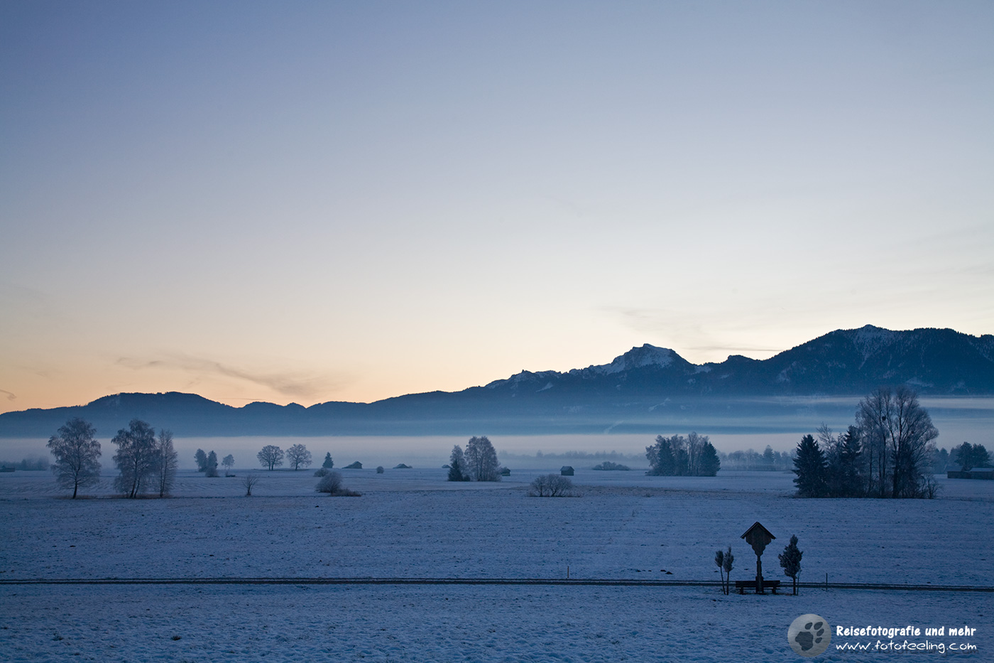 Frostiger Morgen im Moos