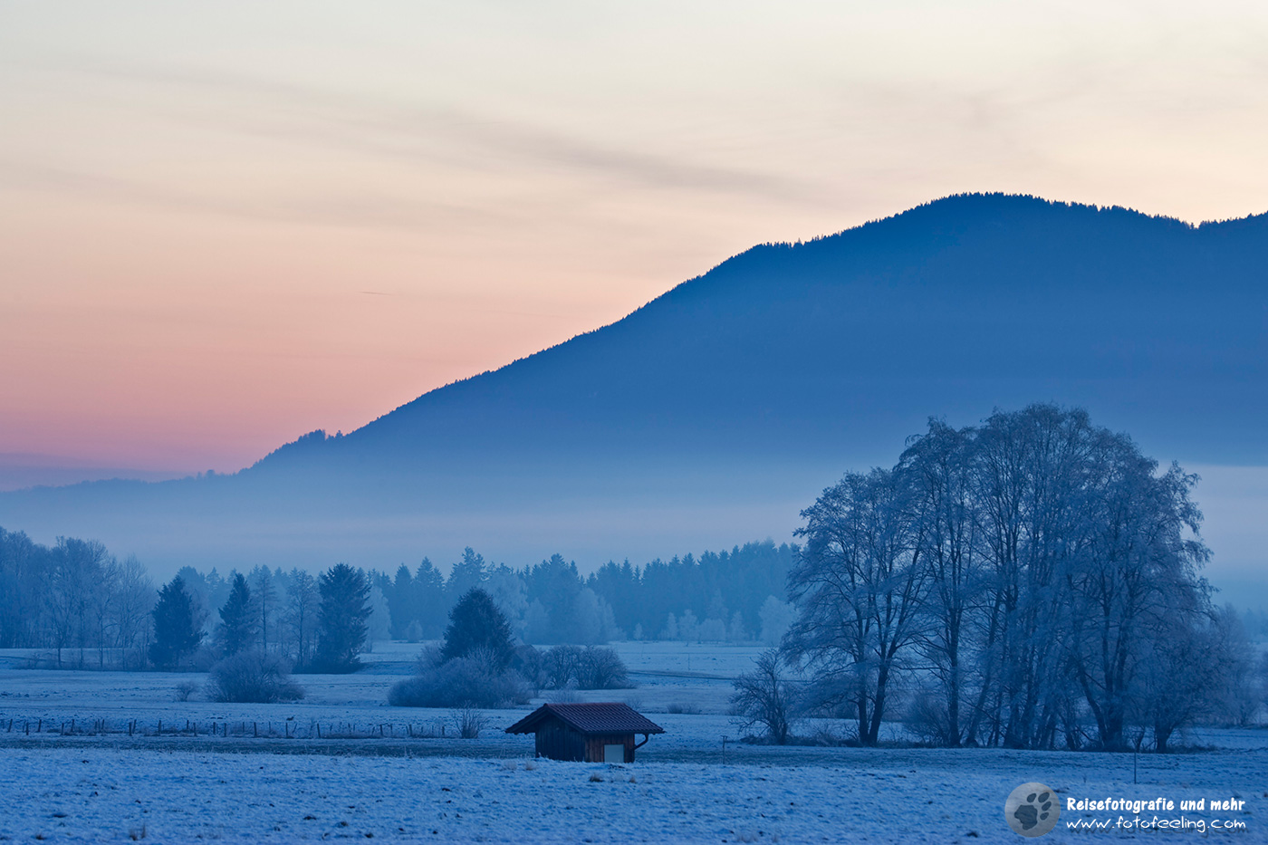 Frostiger Morgen im Moos