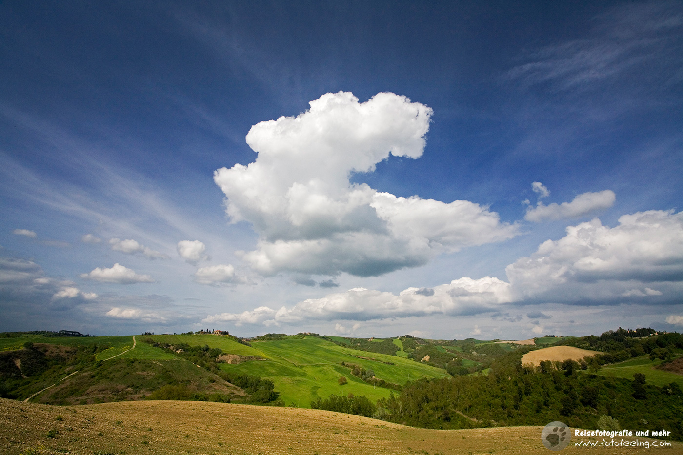 Typische Hügellandschaft