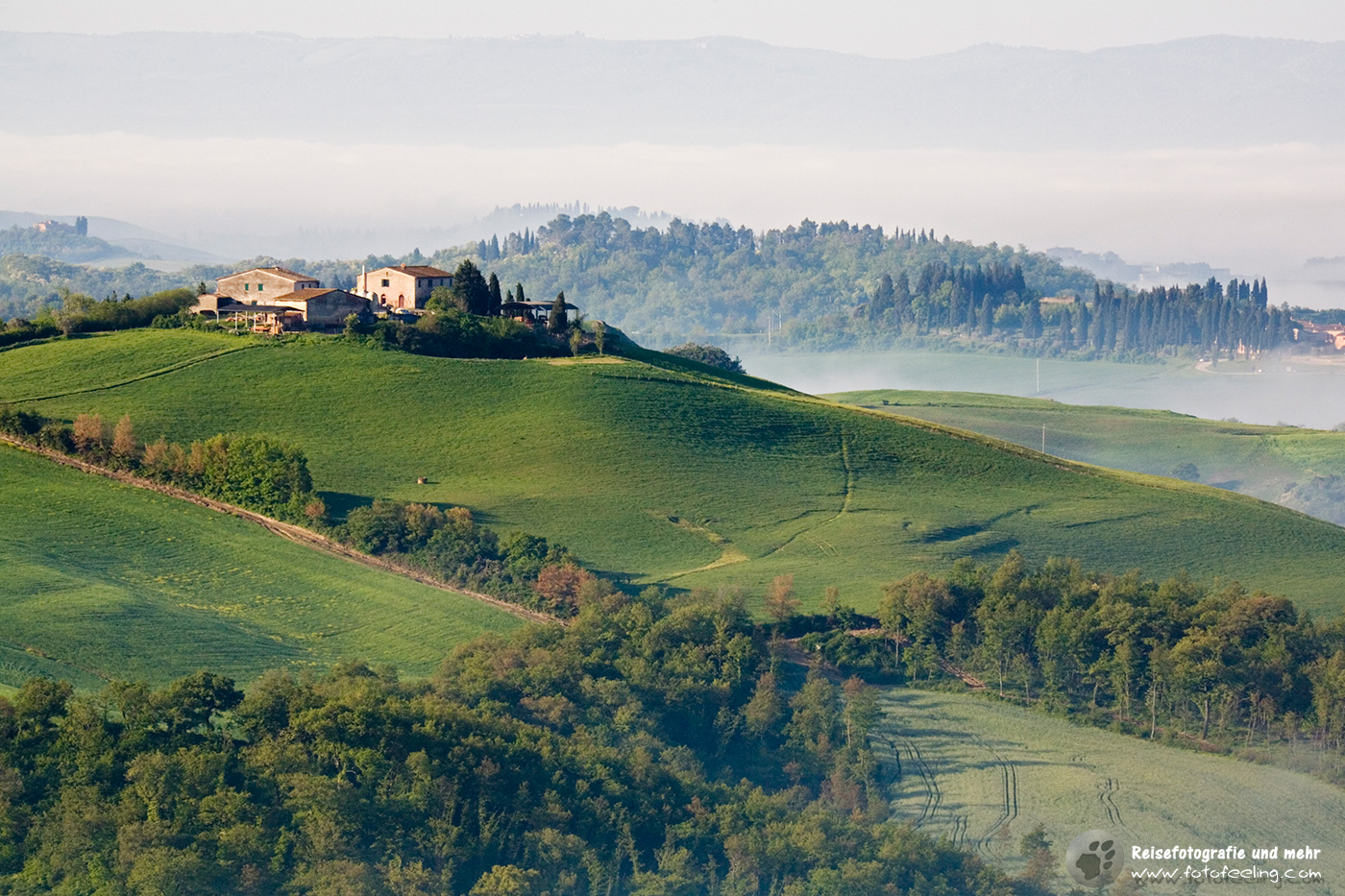 Nebelstimmung in der Toskana