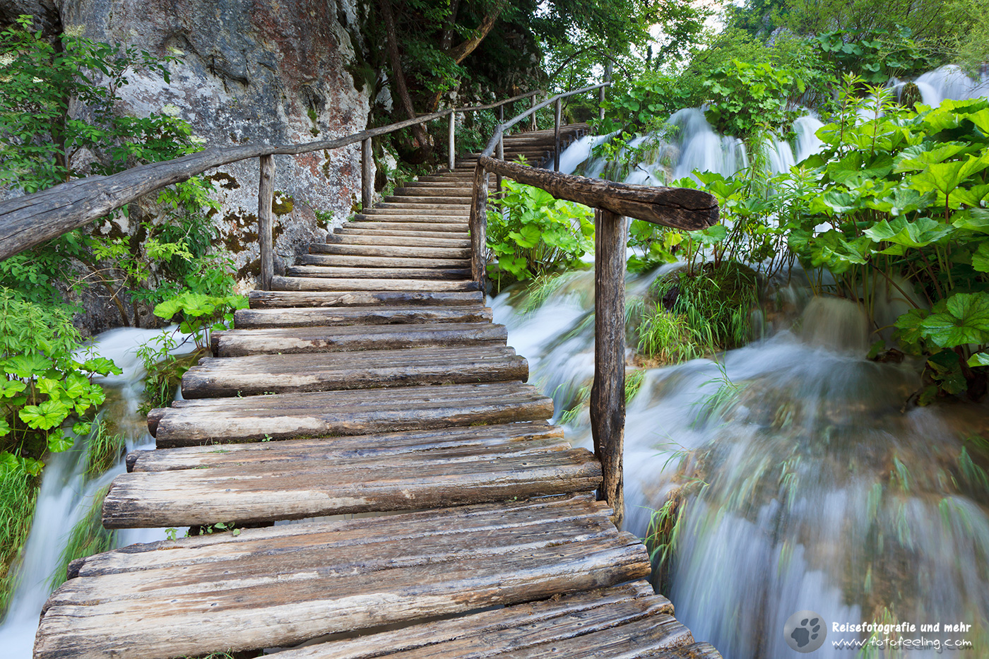 Steg im Nationalpark