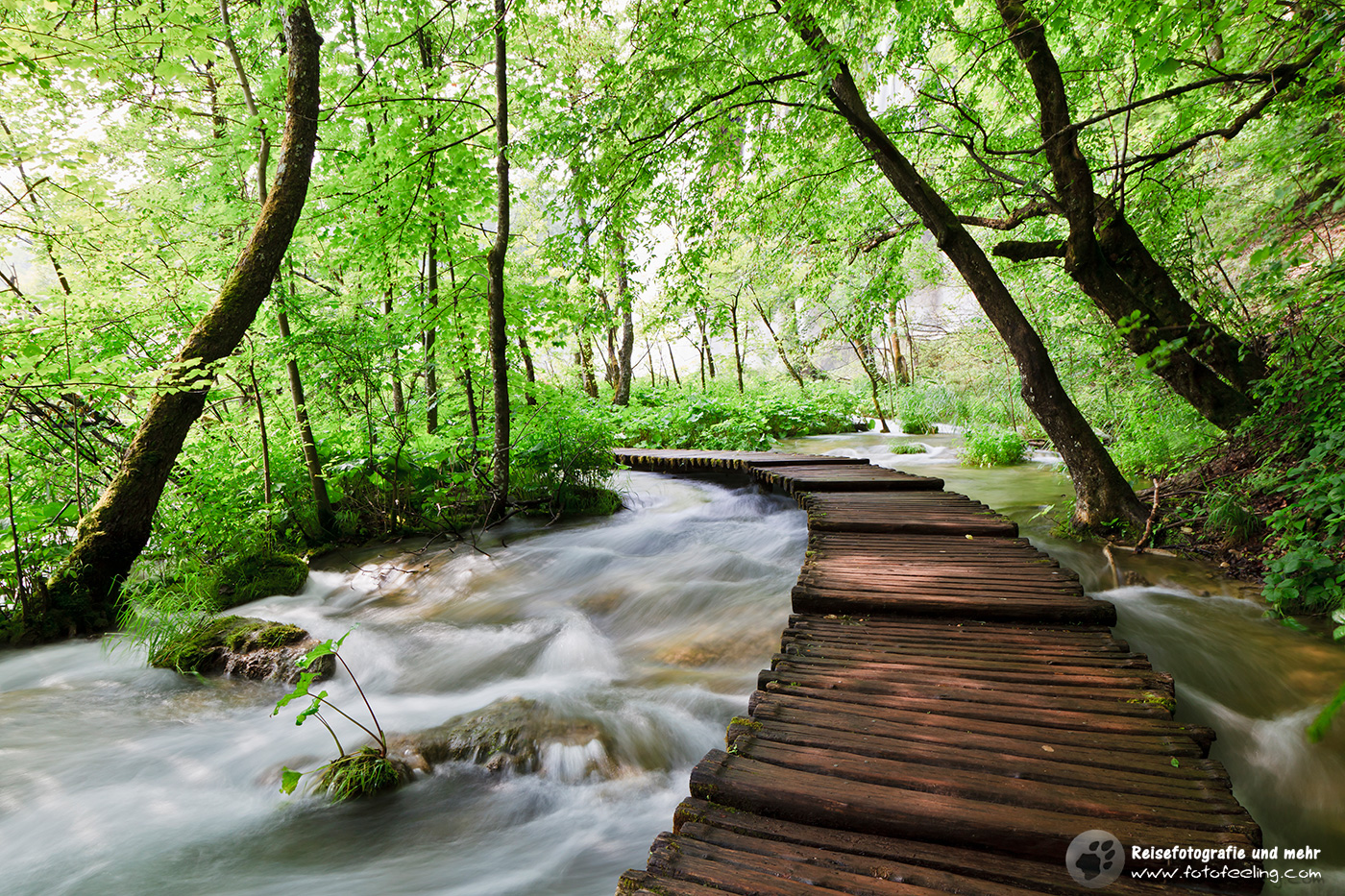 Steg im Nationalpark