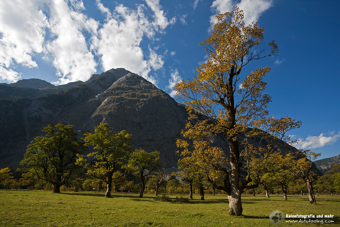 Ahornboden im Herbst
