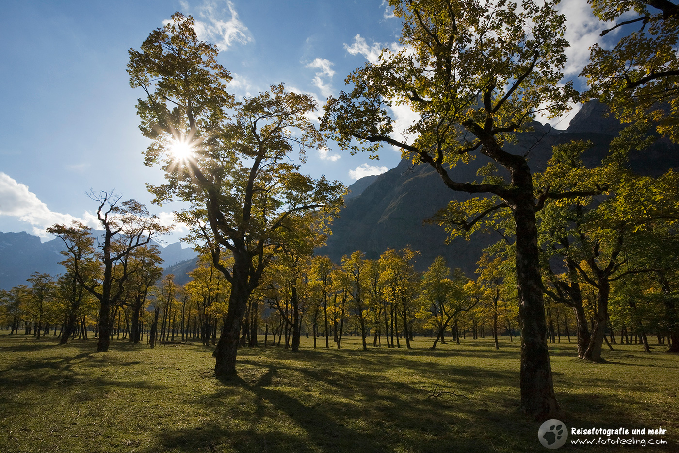Ahornboden im Herbst