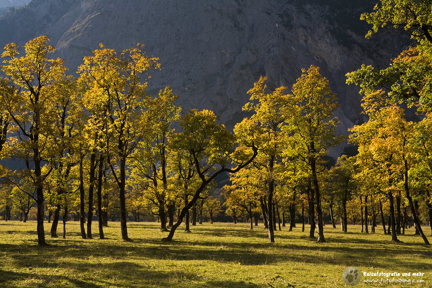 Ahornboden im Herbst