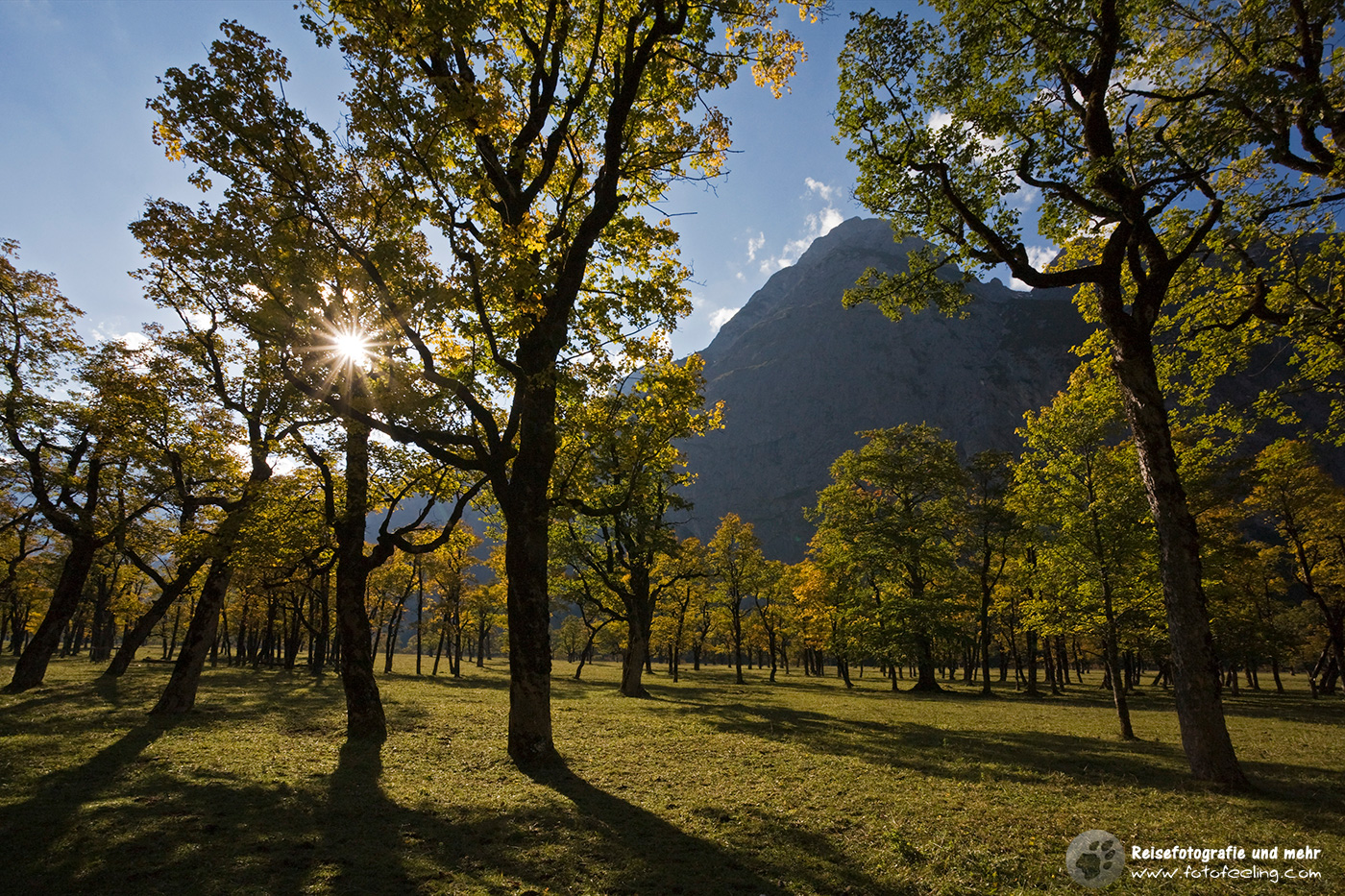 Ahornboden im Herbst