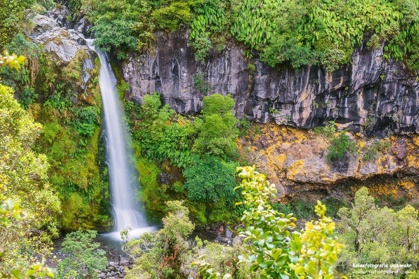 Dawson Falls (Te Rere o Noke)