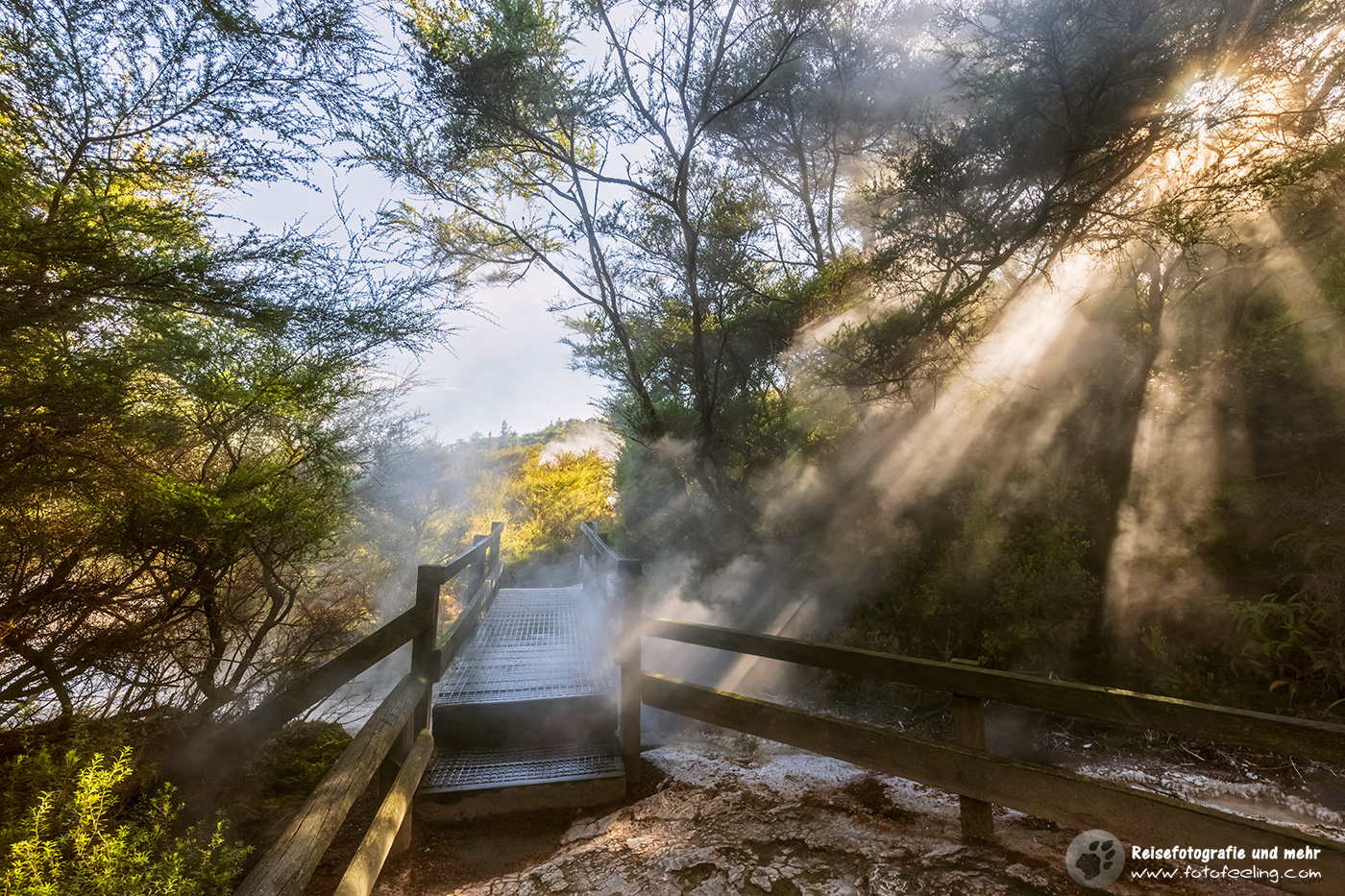 Orakei Korako Geothermal Park
